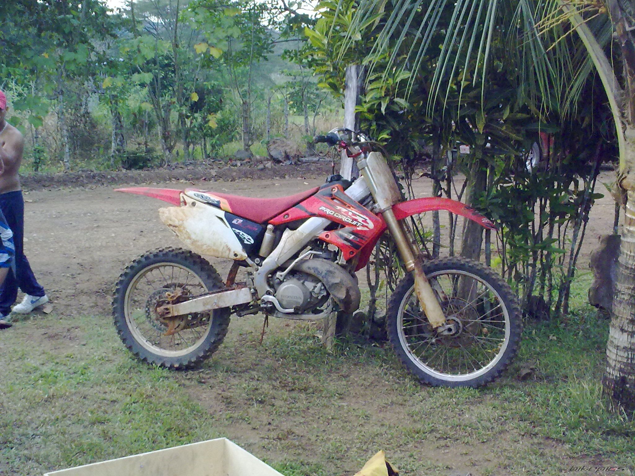 Photo 1887071