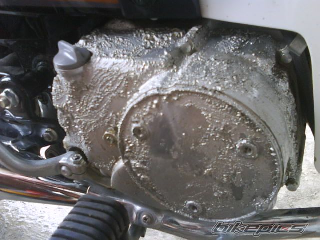 Photo 1887214