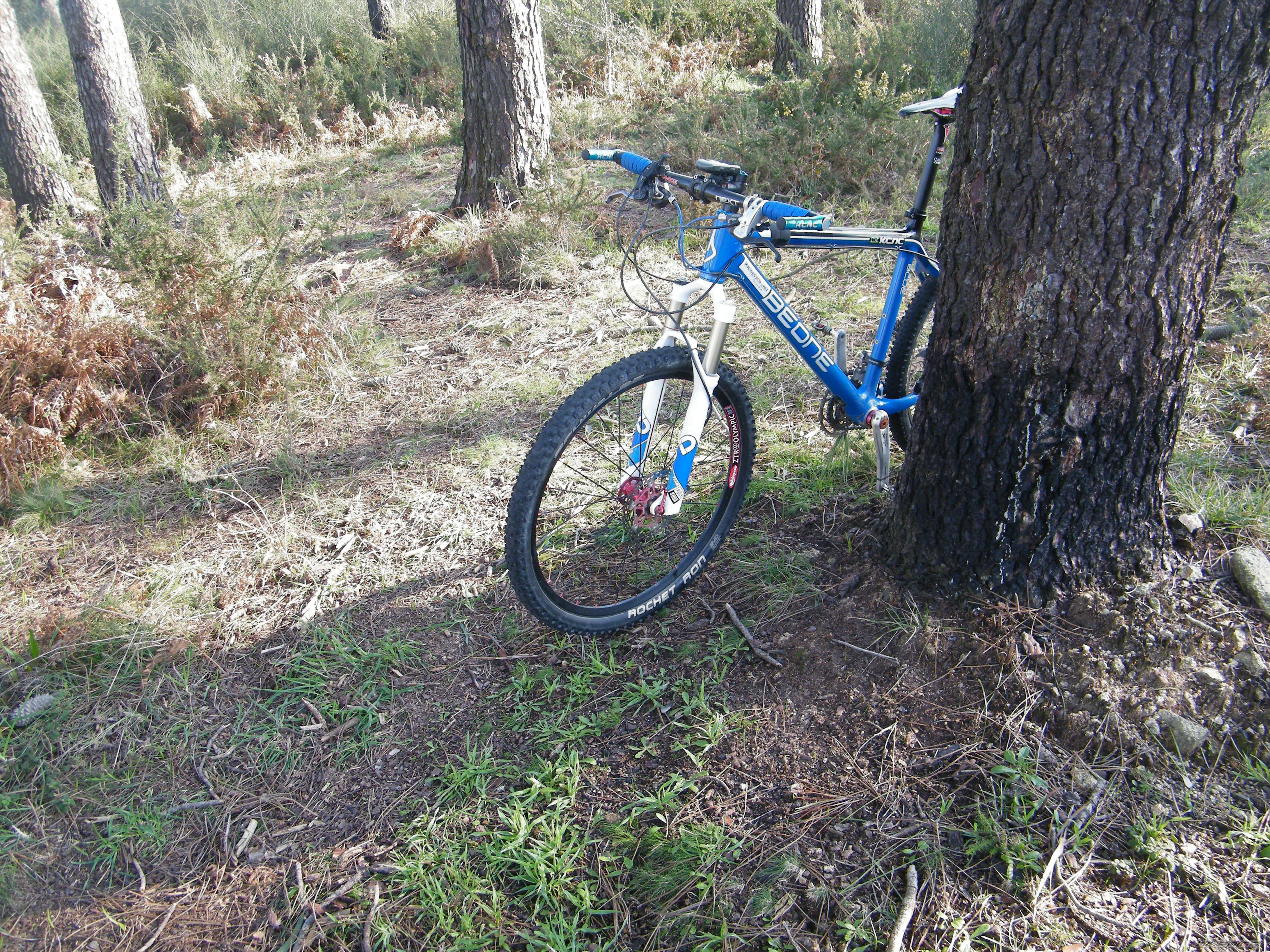 Bike Photo 1887388