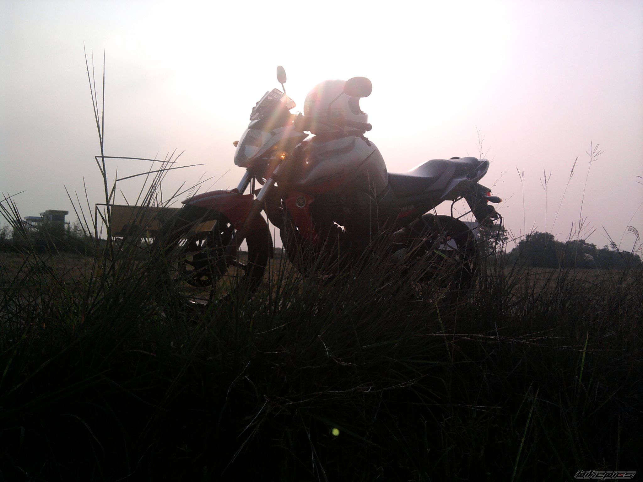 Photo 1887416