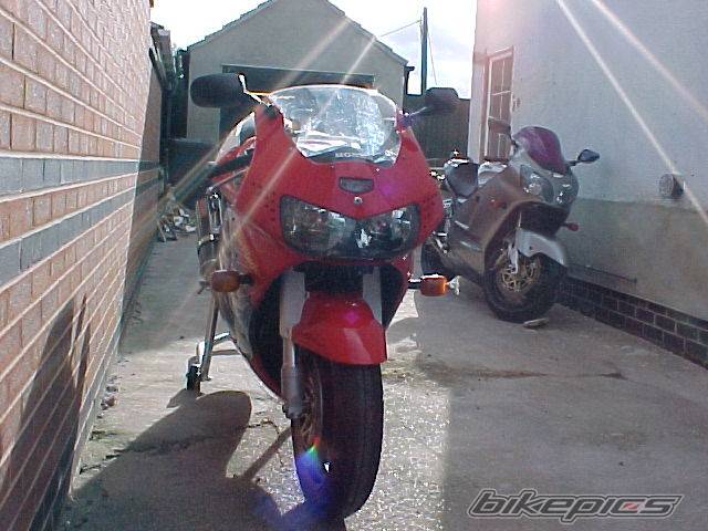 Photo 18877