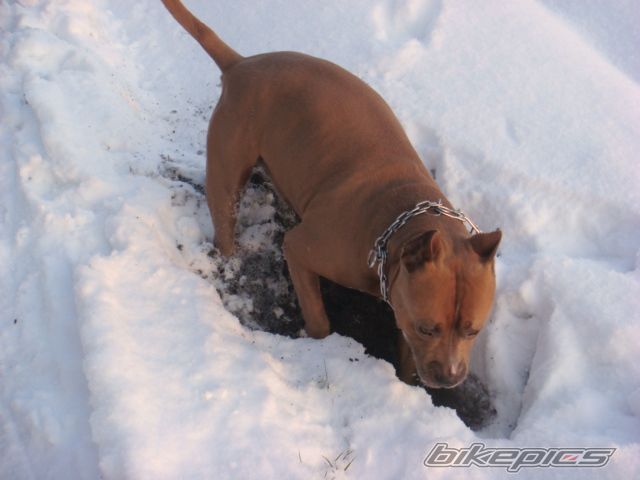 Photo 1887760