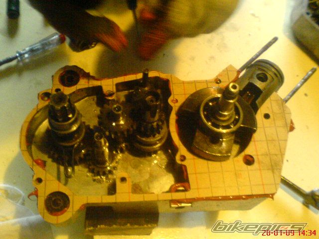 Photo 1887831