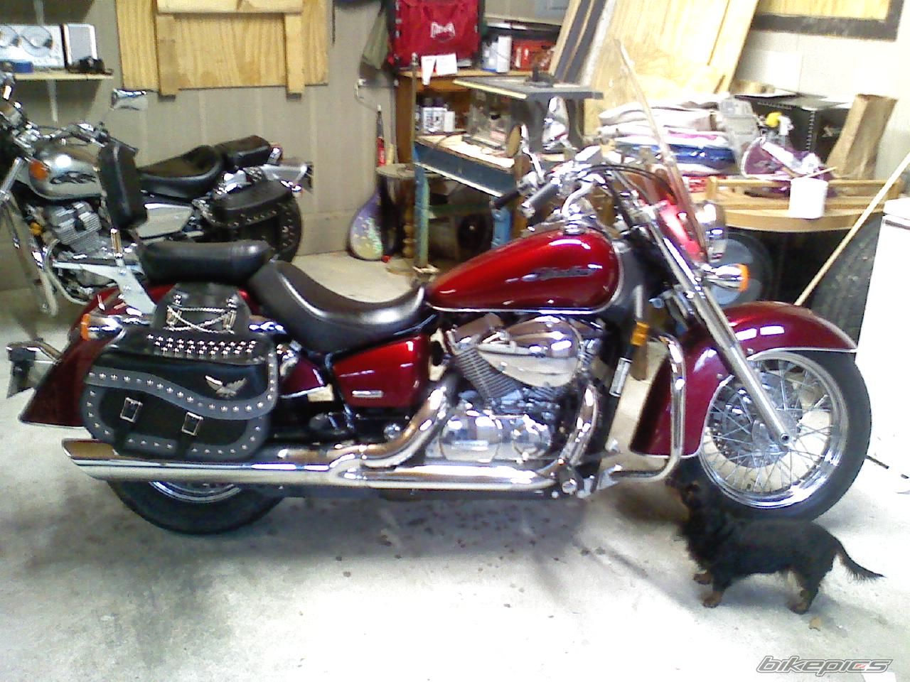 Photo 1888318