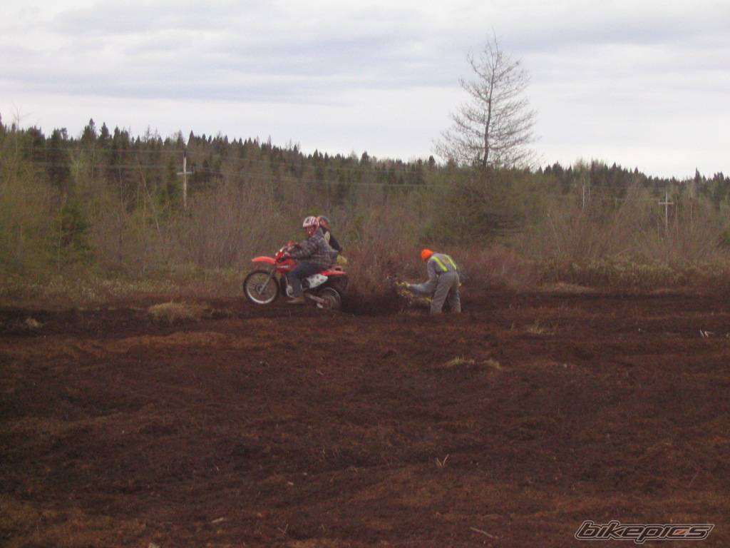 Photo 188871