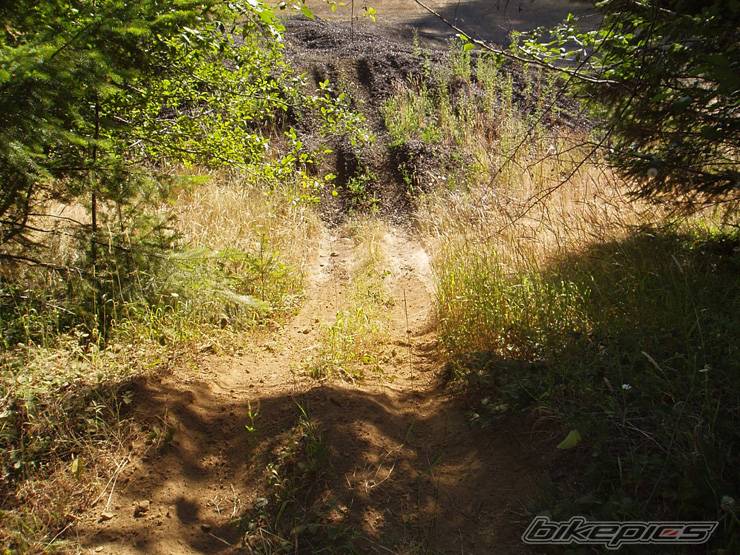 Photo 188917