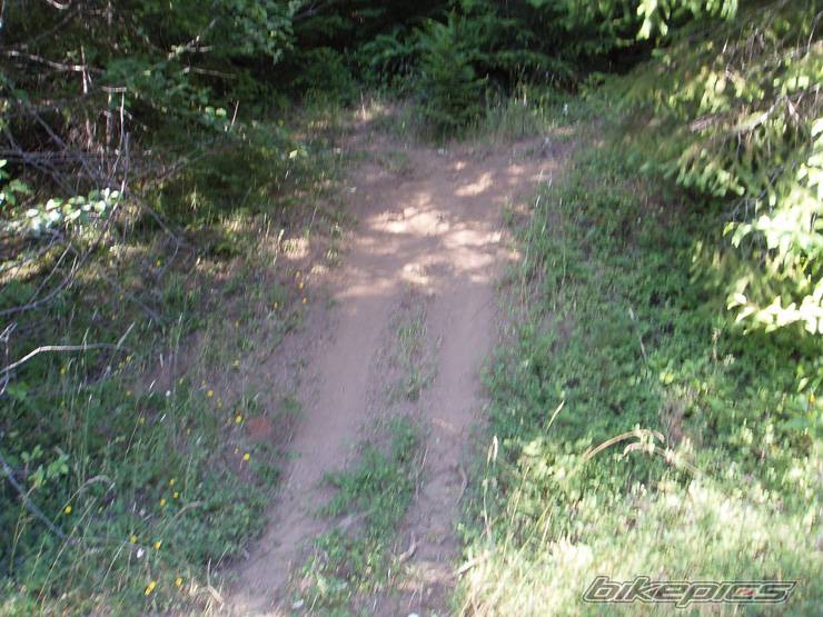 Photo 188919