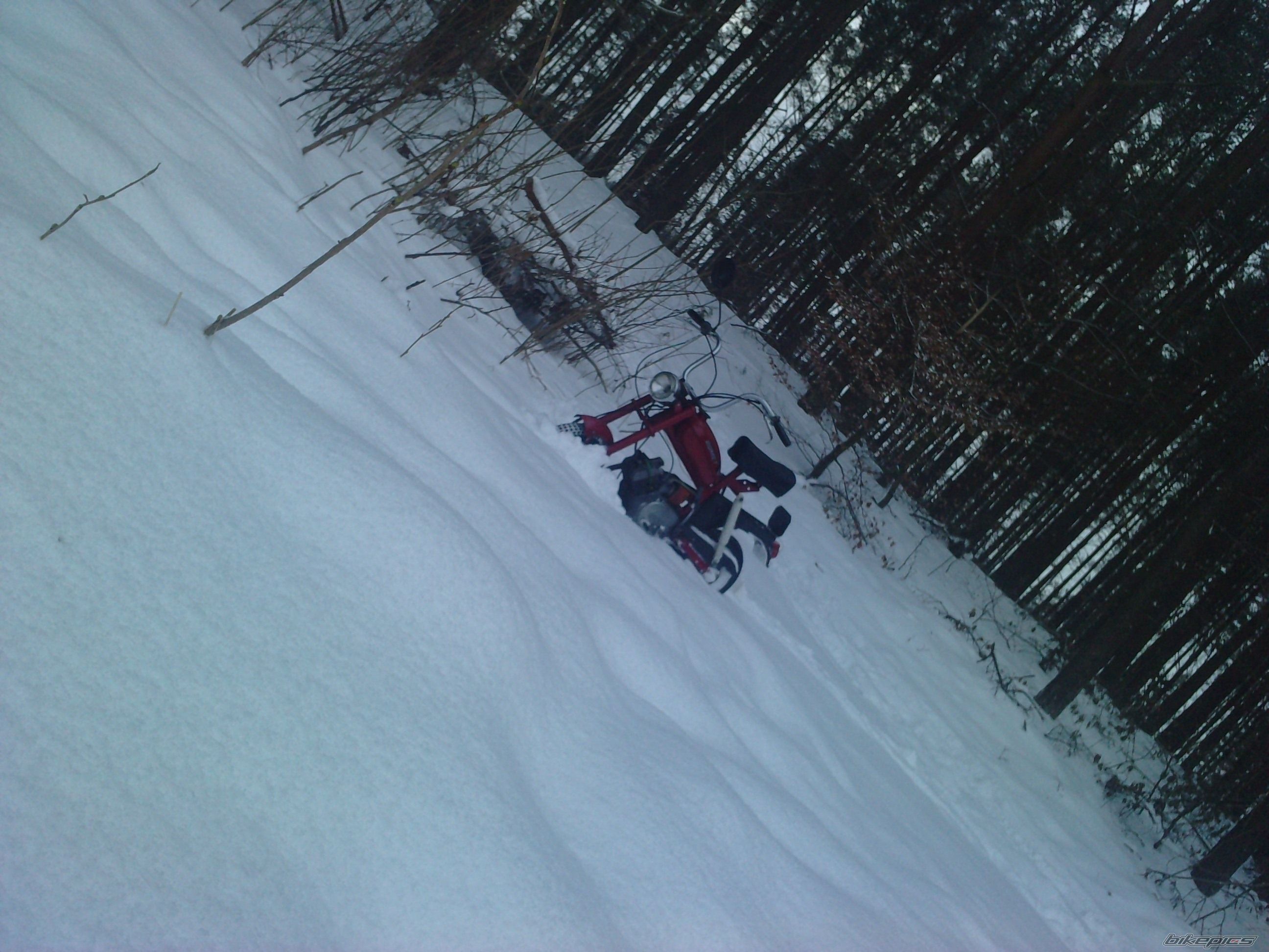 Photo 1889196