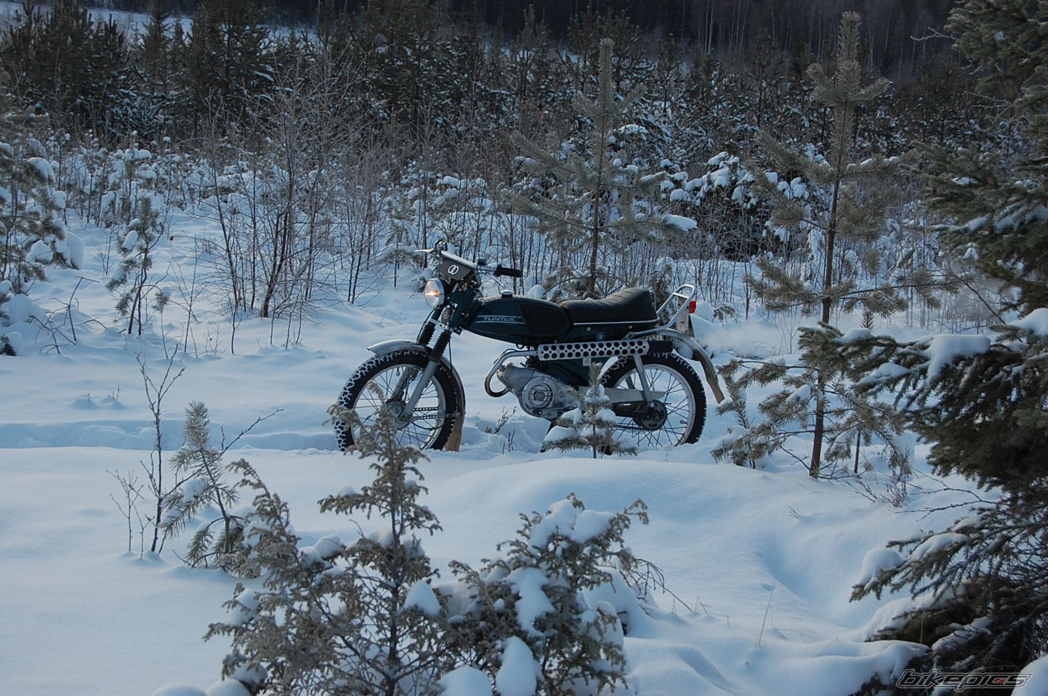 Photo 1889276