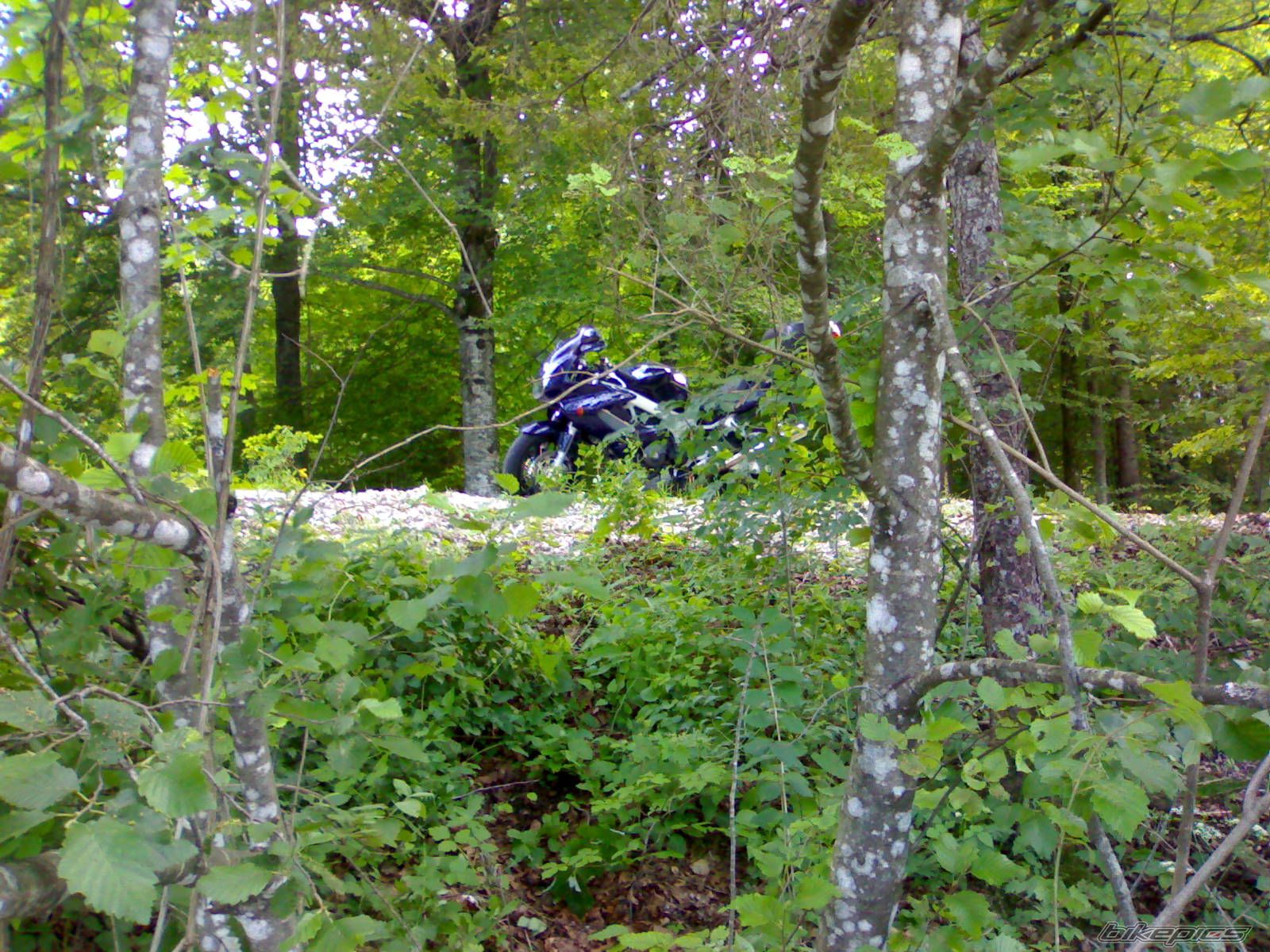 Bike Photo 1889610