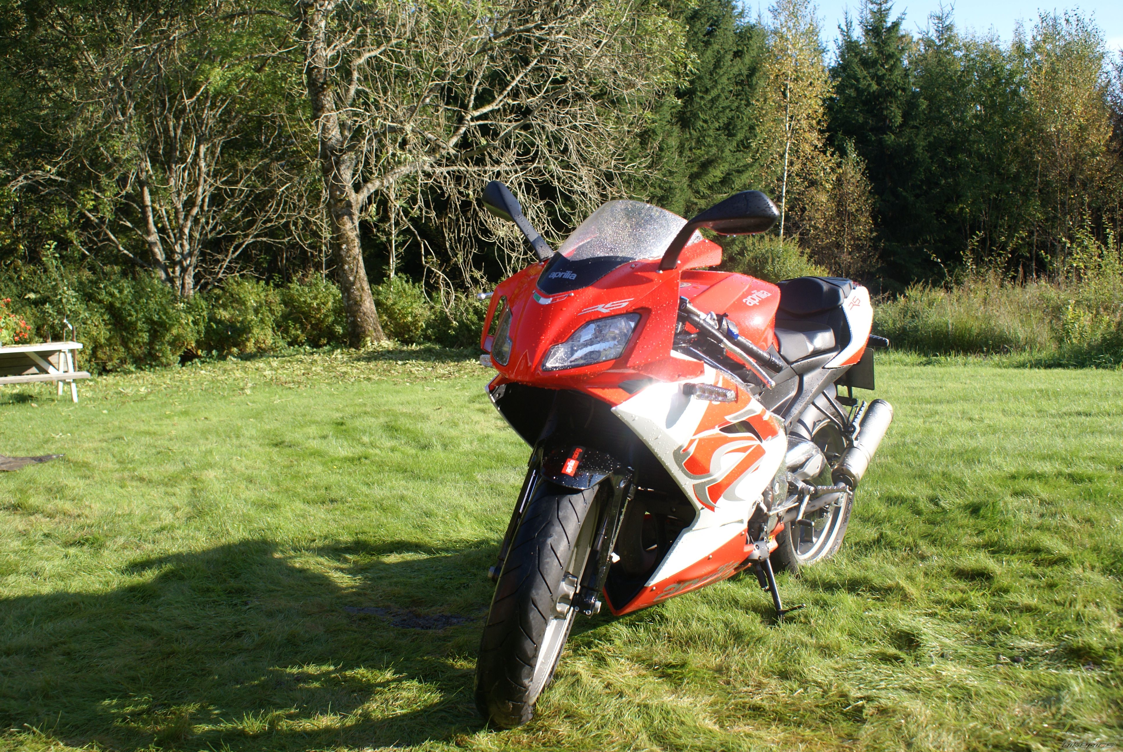 Bike Photo 1889689