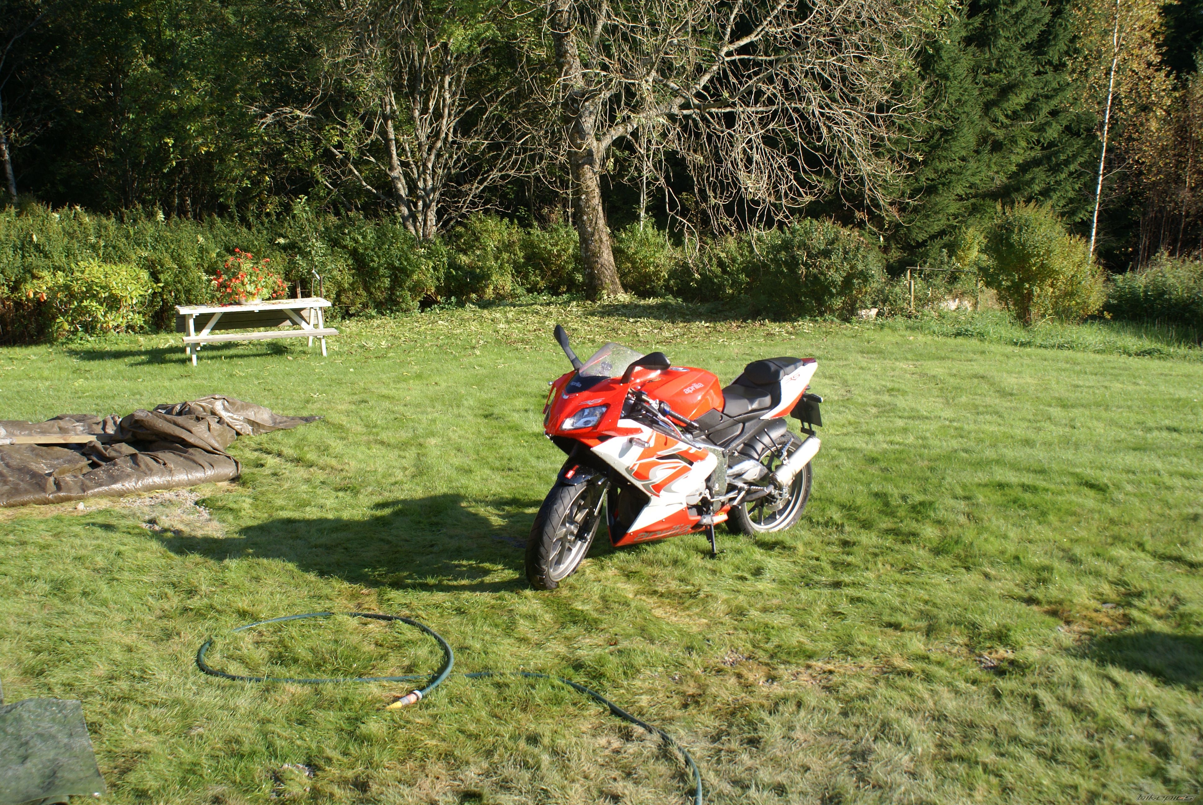 Bike Photo 1889691