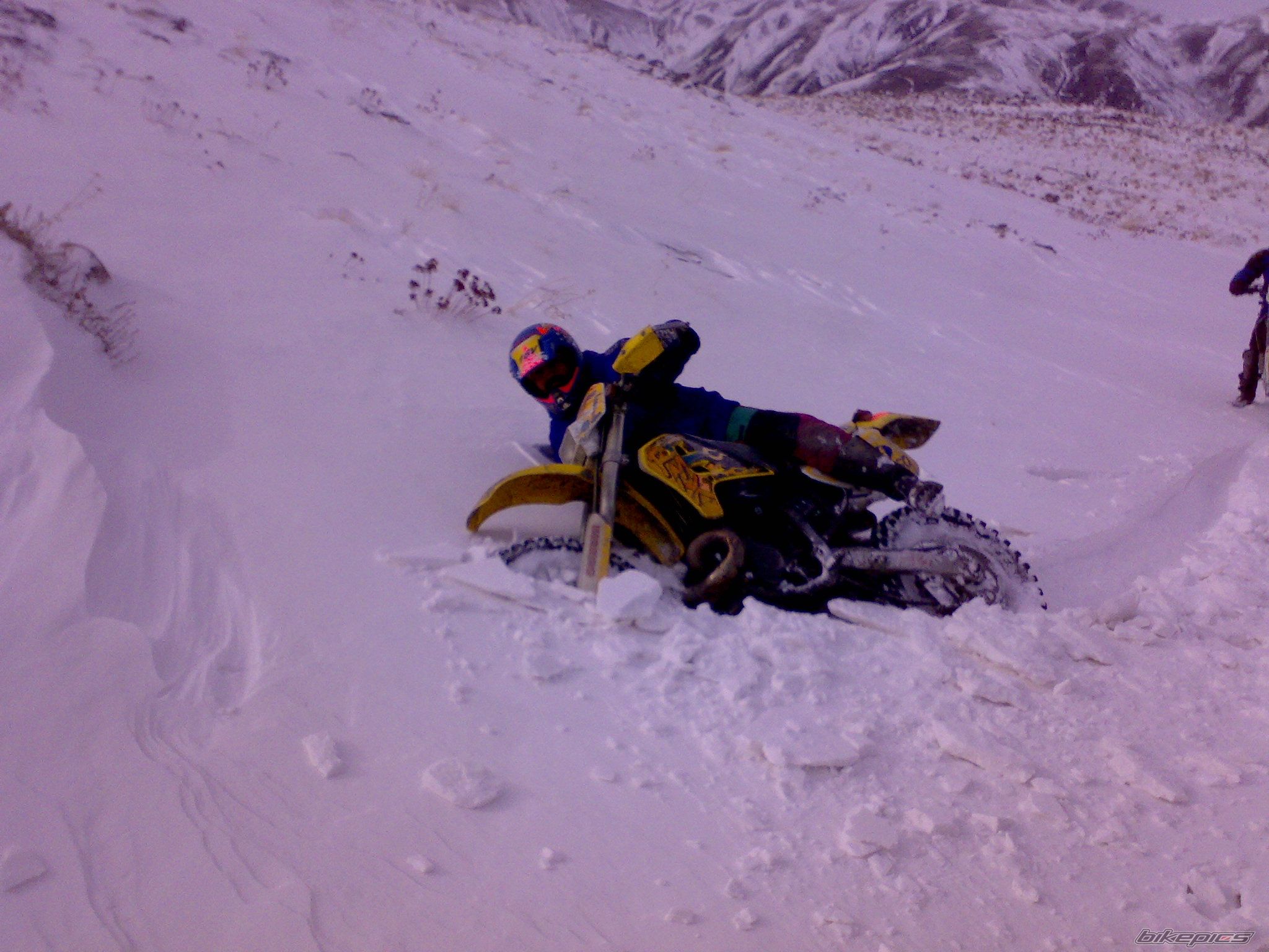 Photo 1889694