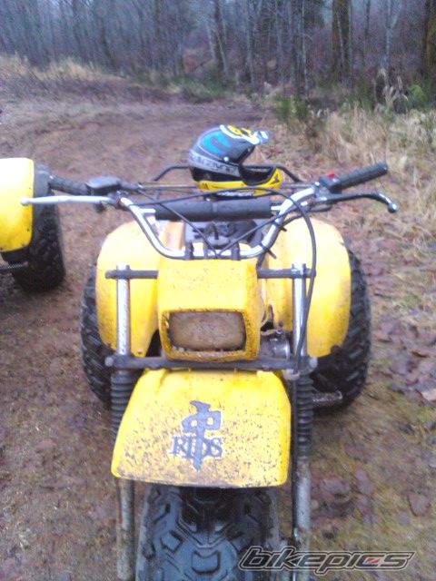 Photo 1890043
