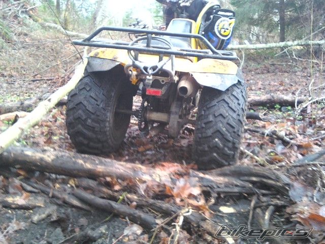 Photo 1890065
