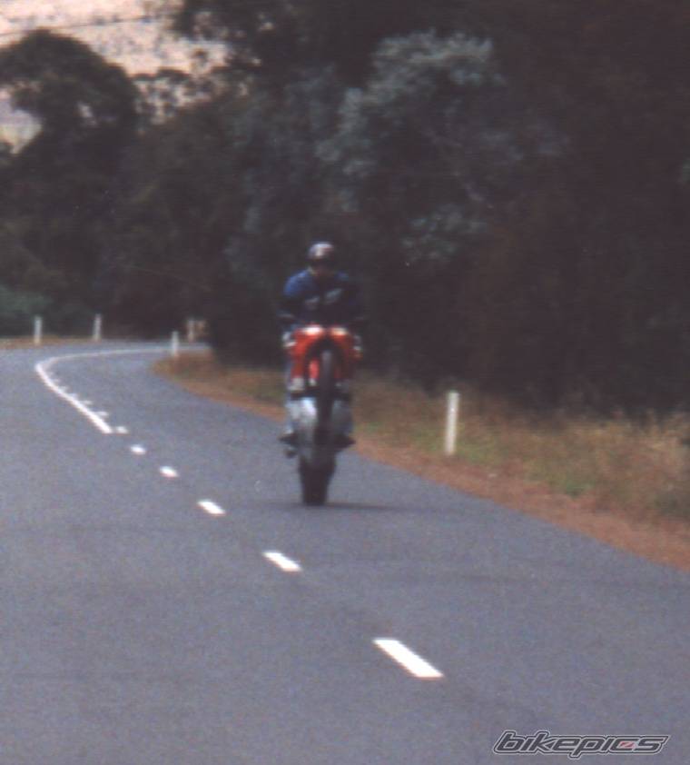 Photo 18917