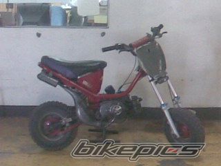 Photo 1892353