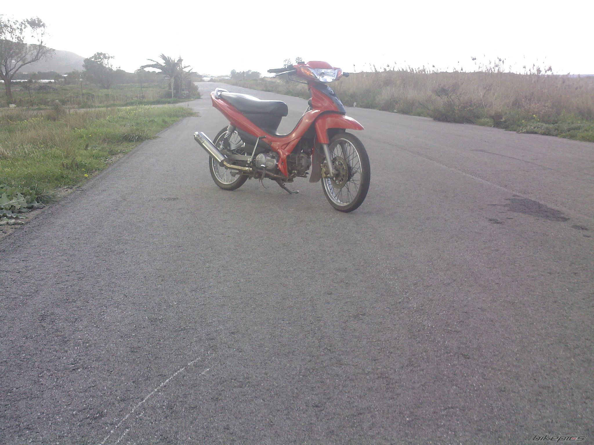 Photo 1892665