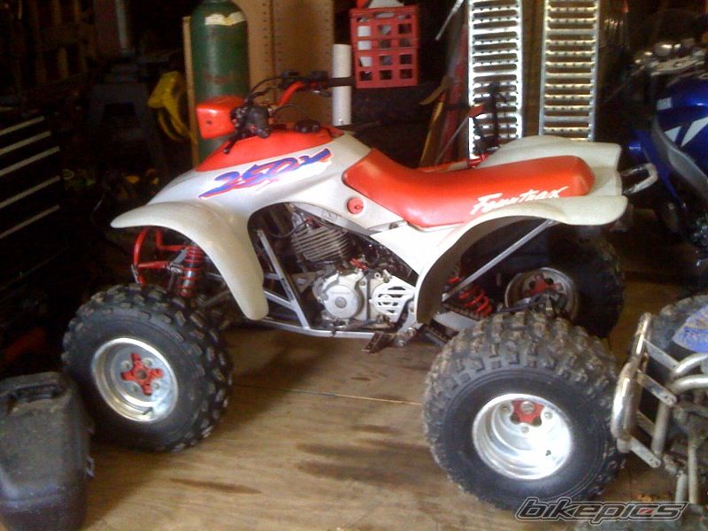 Photo 1893016