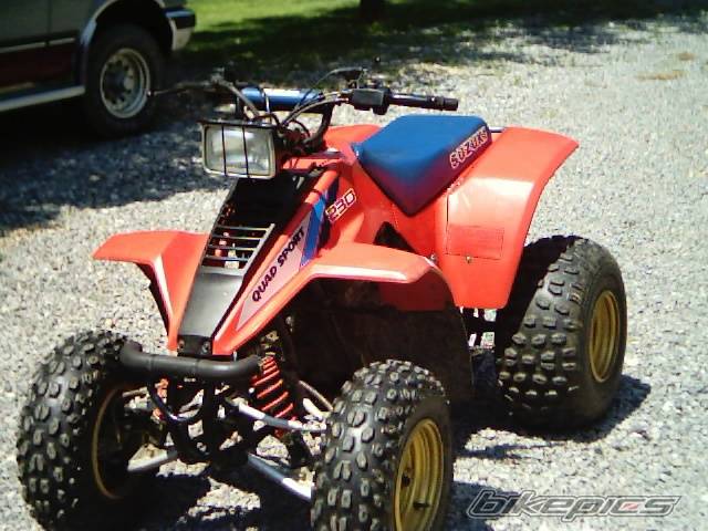 Photo 189312
