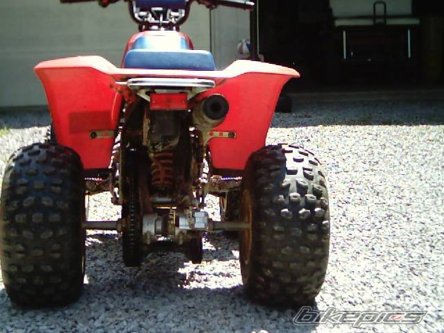Photo 189328