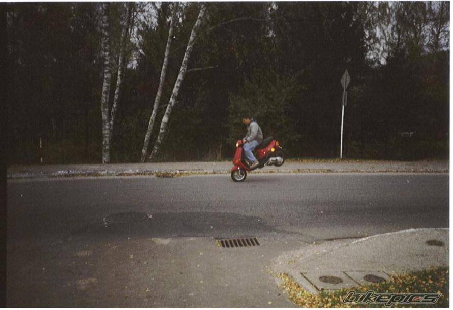 Photo 18934