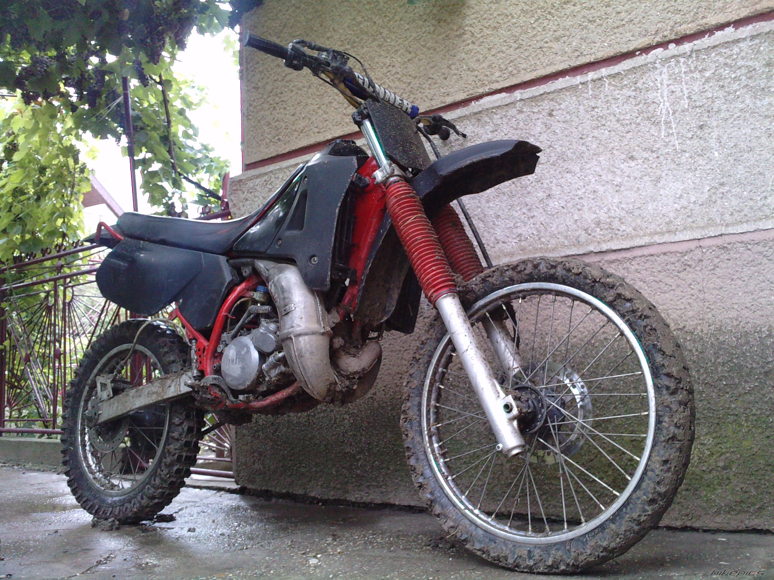 Photo 1893626