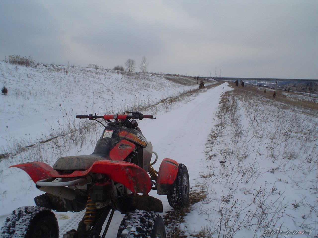 Photo 1893655