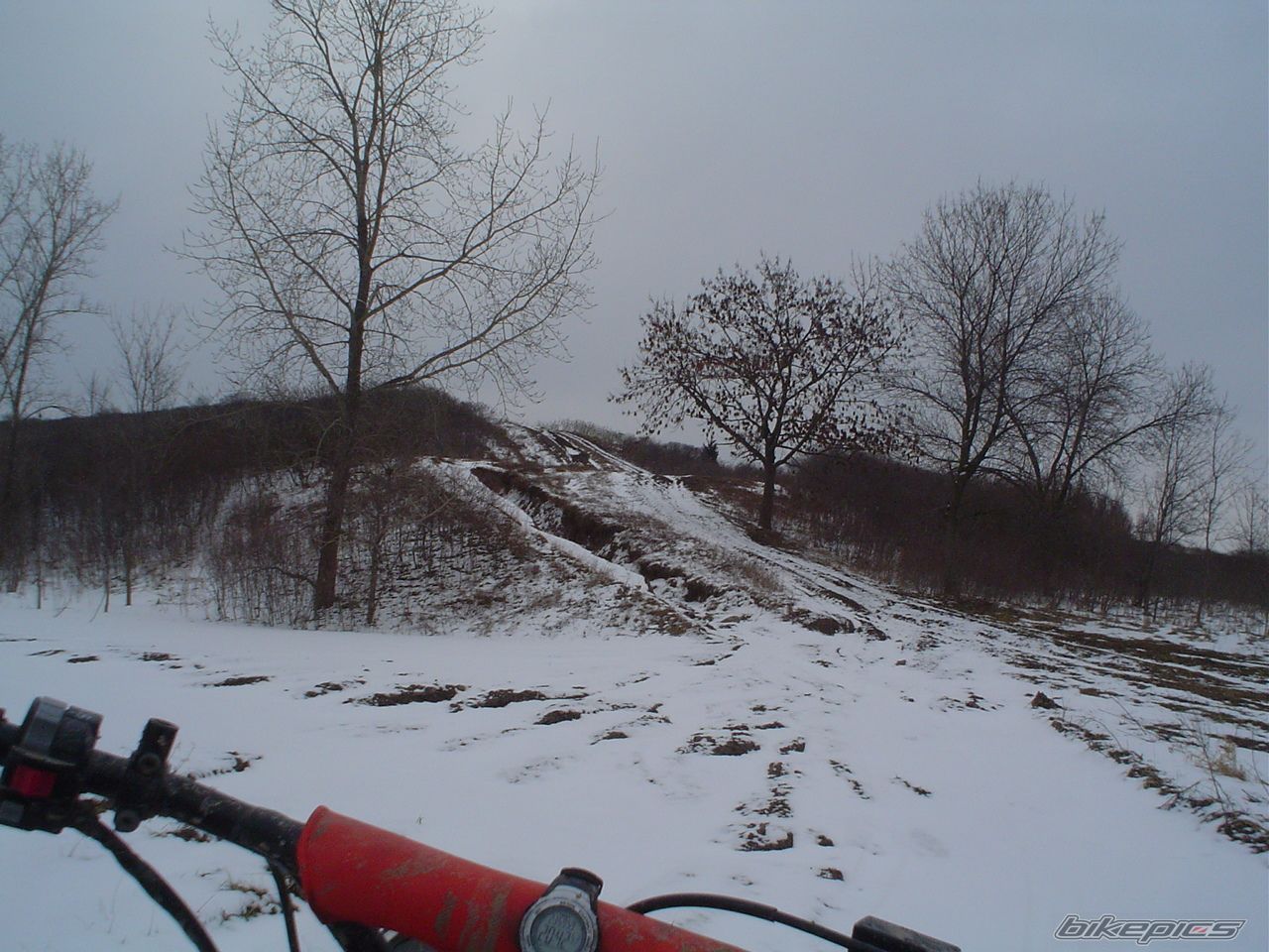 Photo 1893683