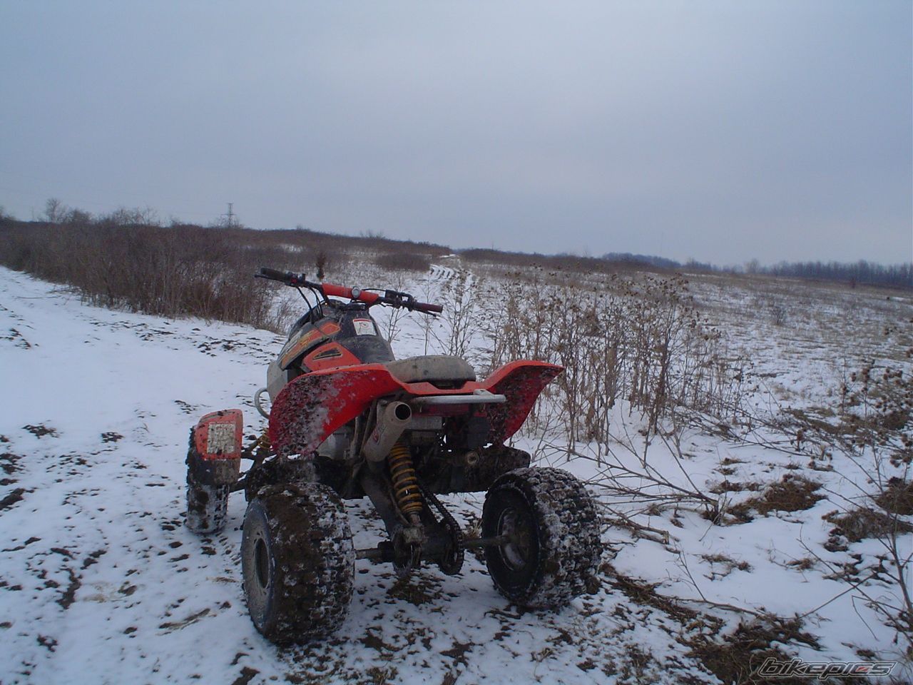 Photo 1893687