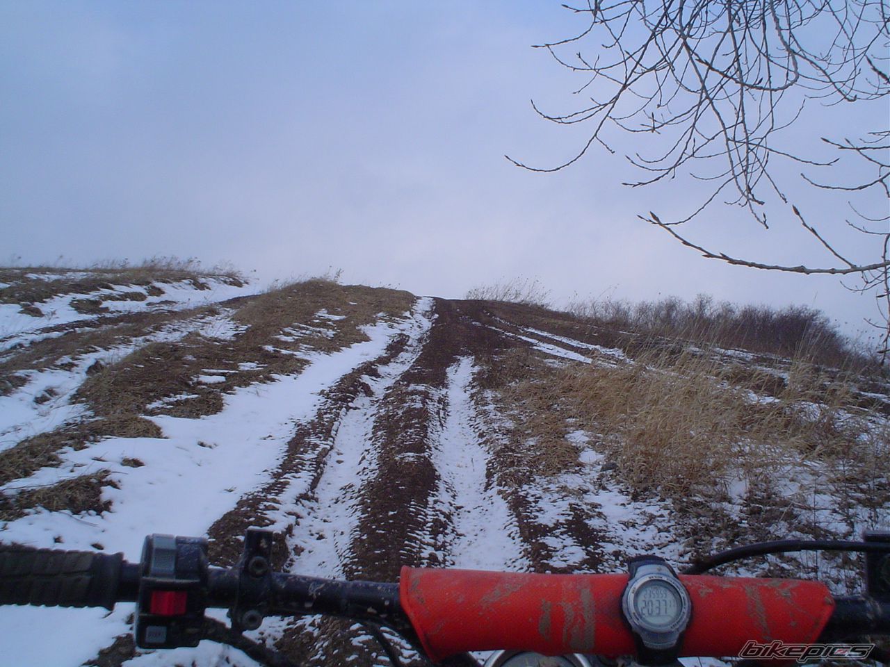 Photo 1893691
