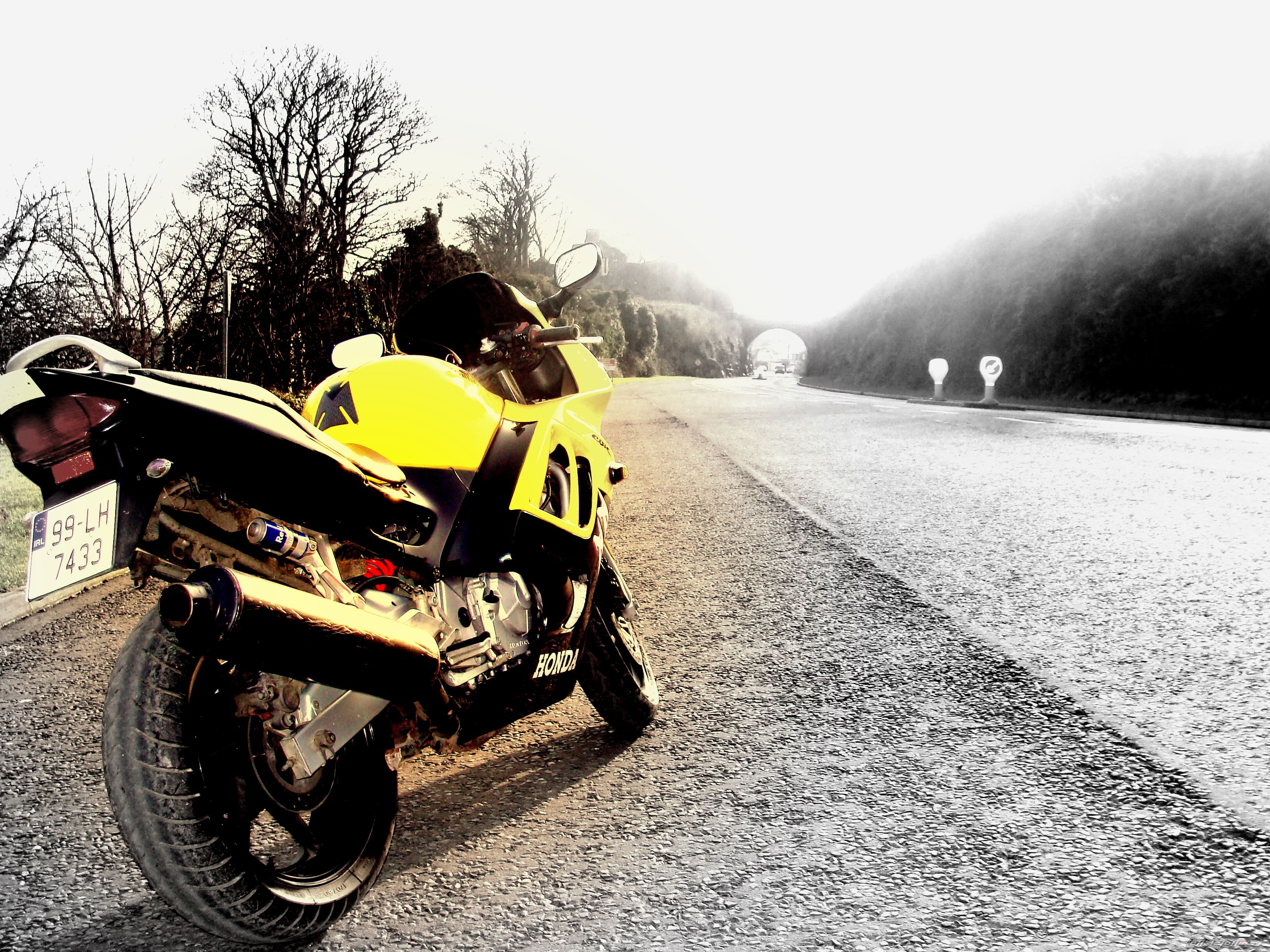 Bike Photo 1893866