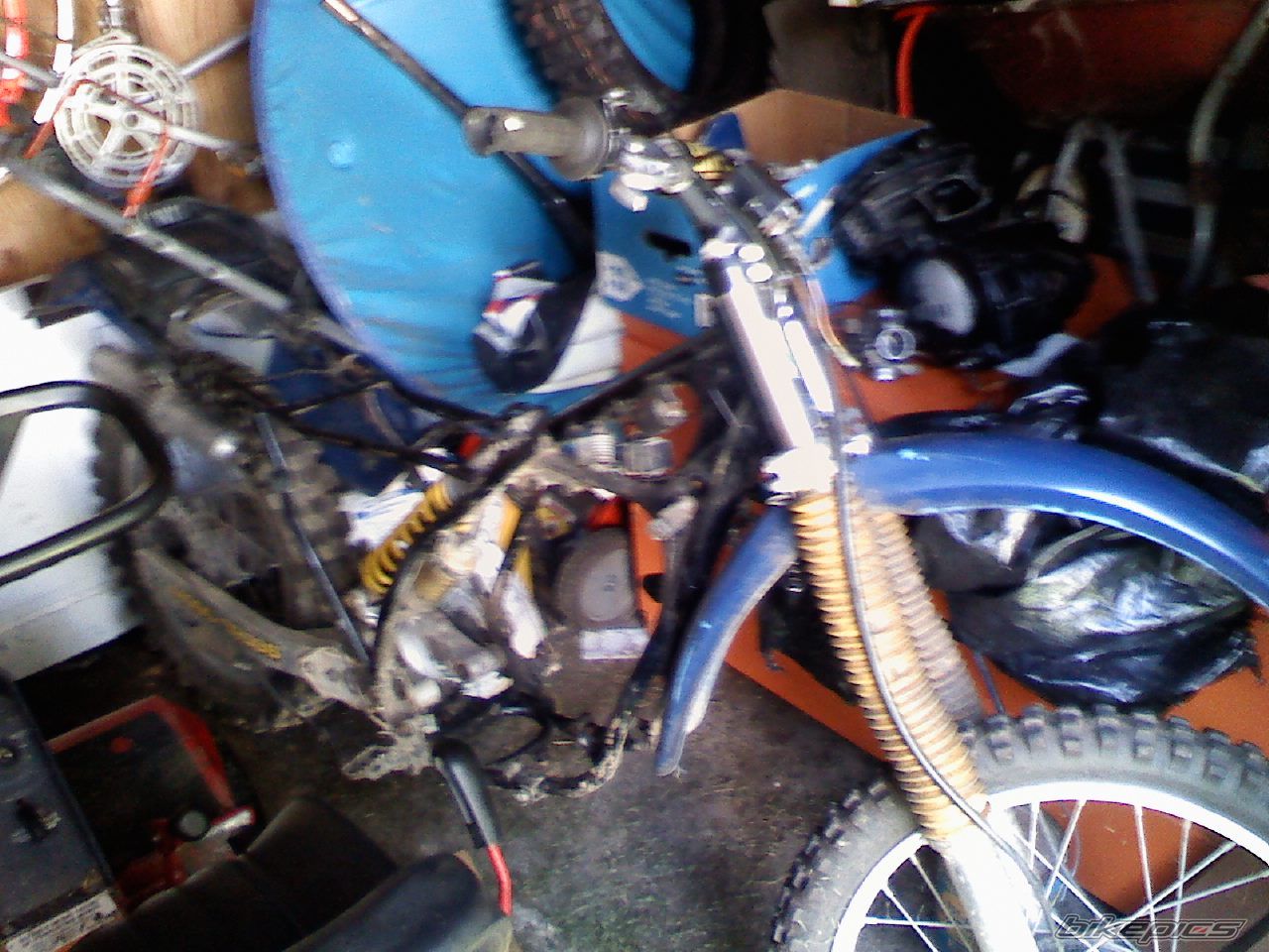 Photo 1893874