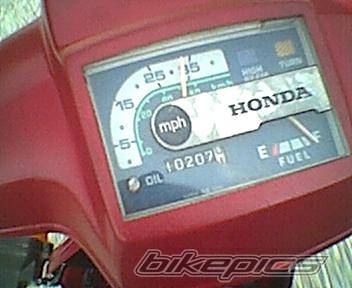 Photo 189388