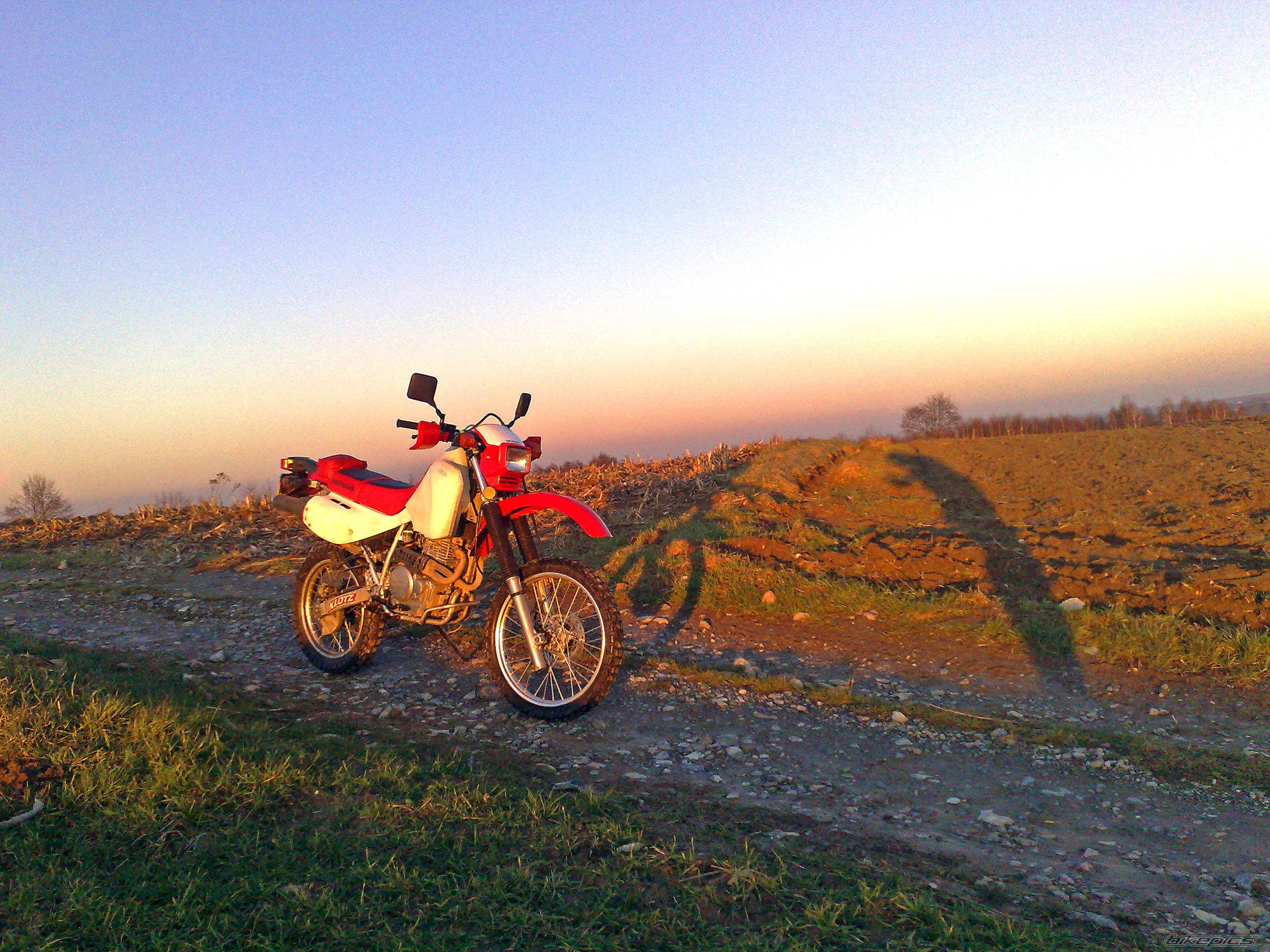 Bike Photo 1894674
