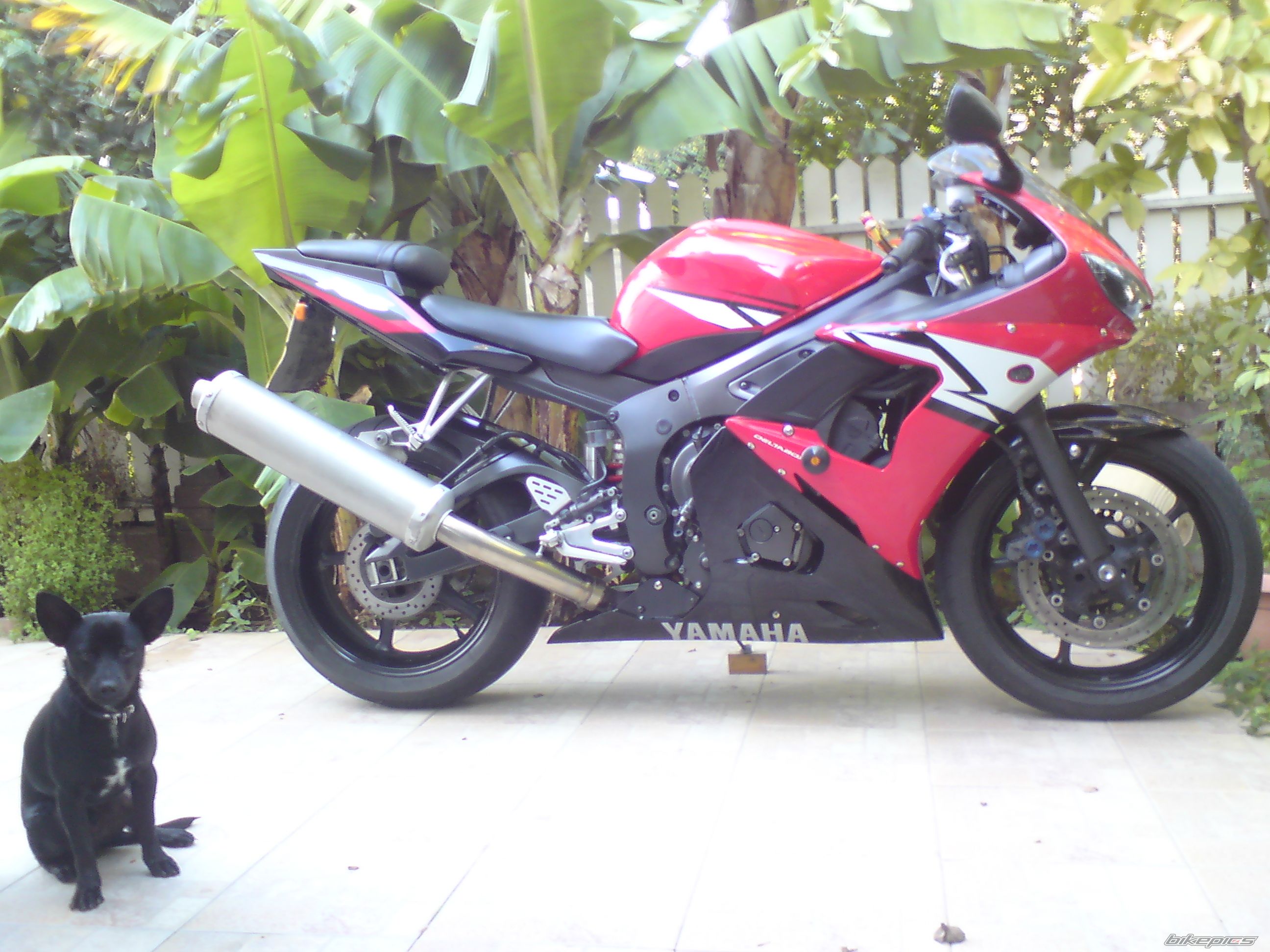 Bike Photo 1894956