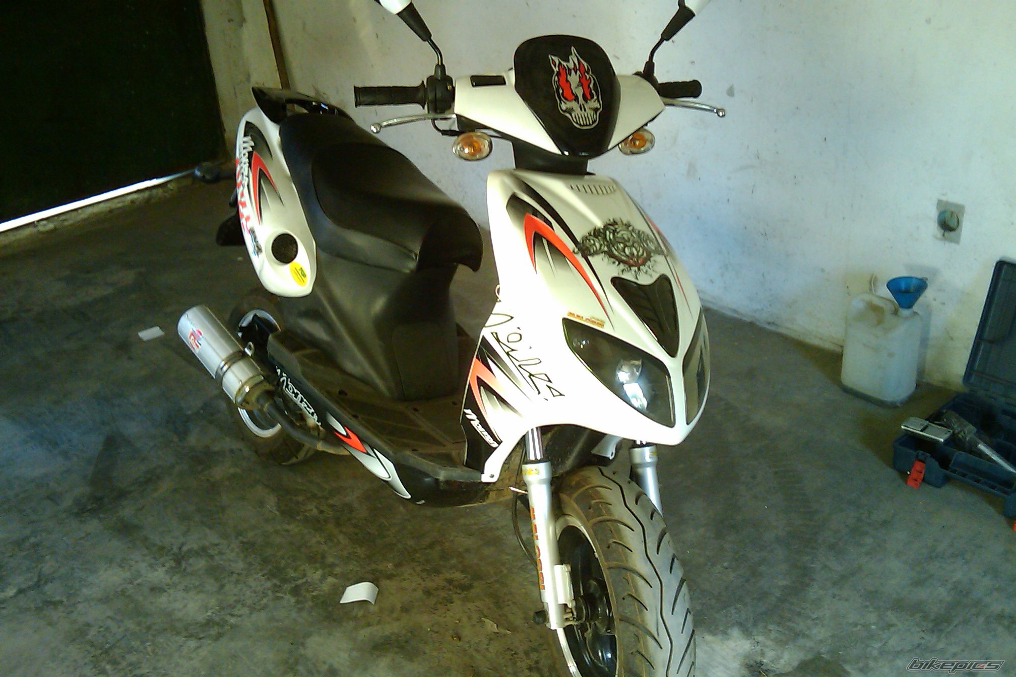 Photo 1895145