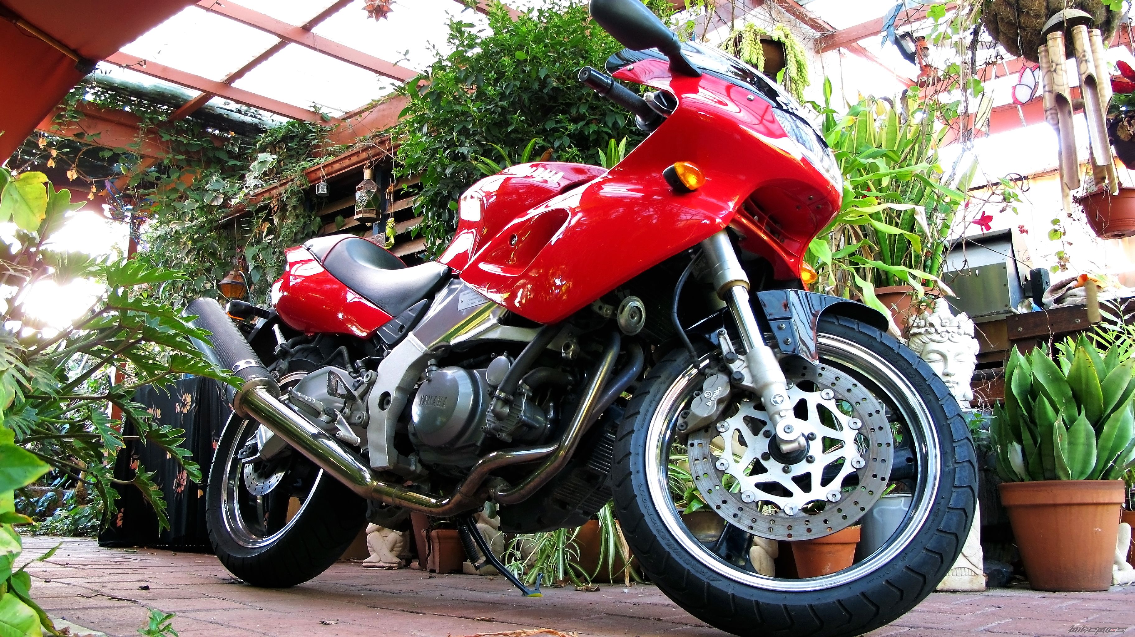 Bike Photo 1896055