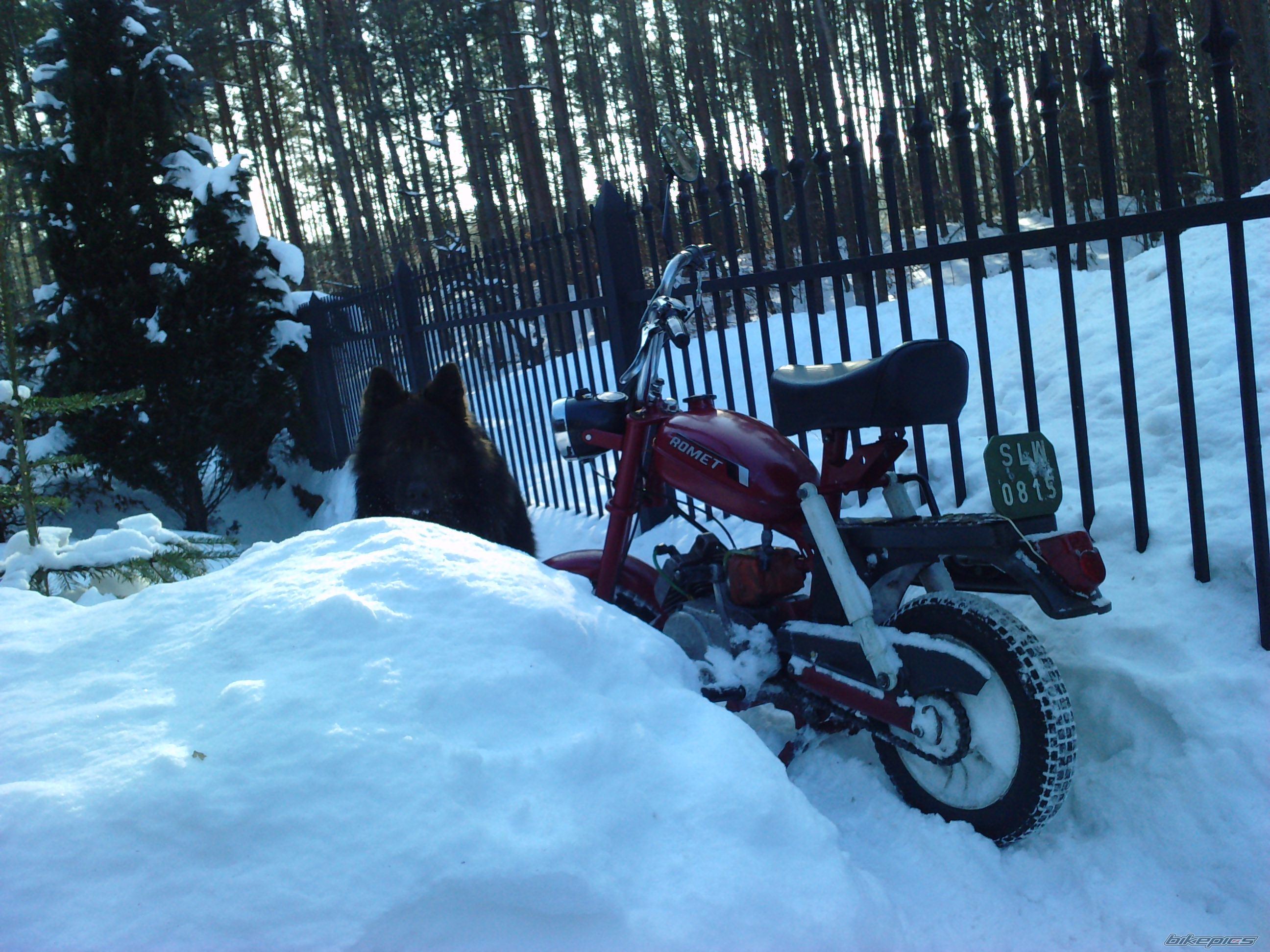 Photo 1896173