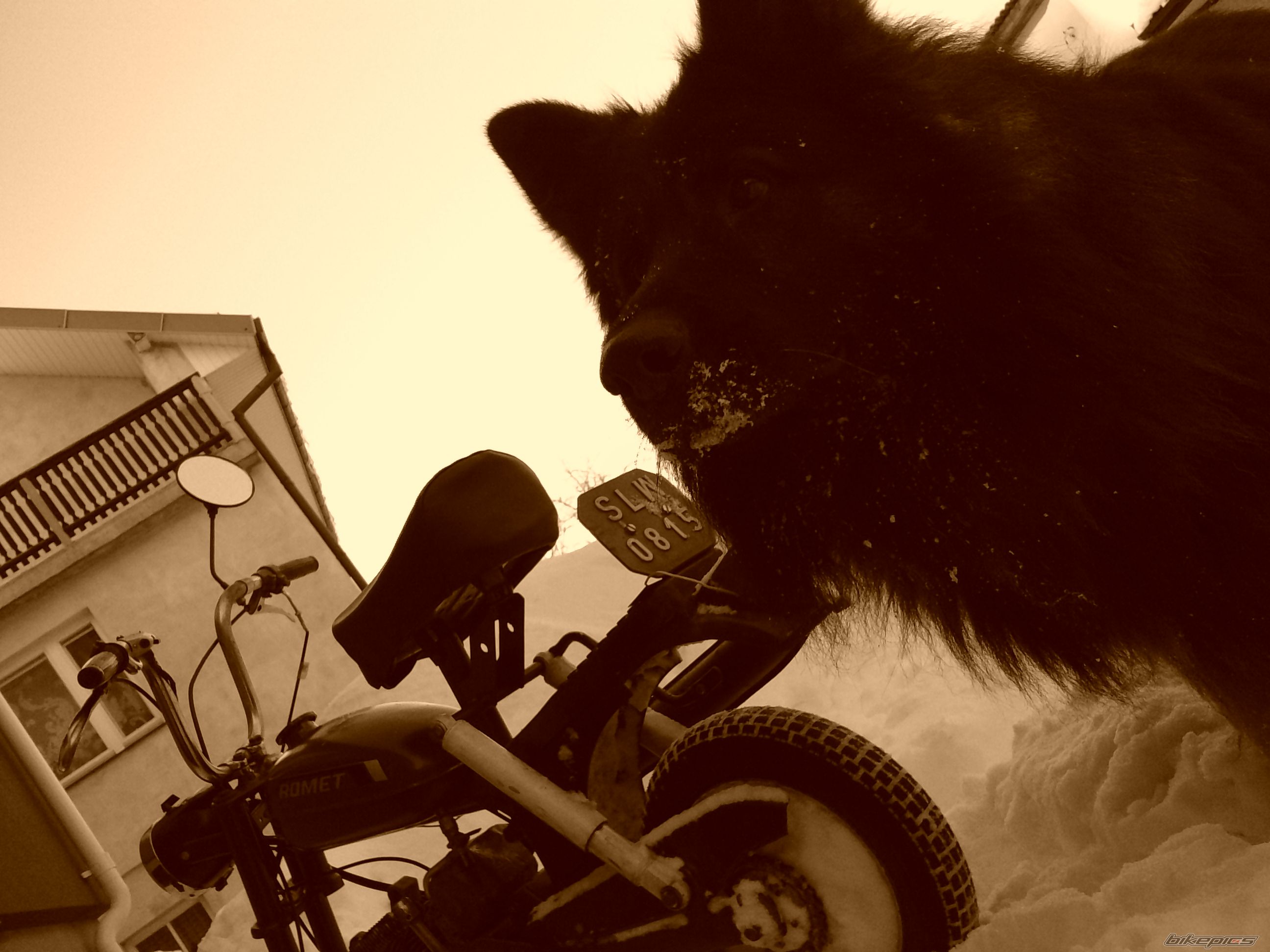 Photo 1896203
