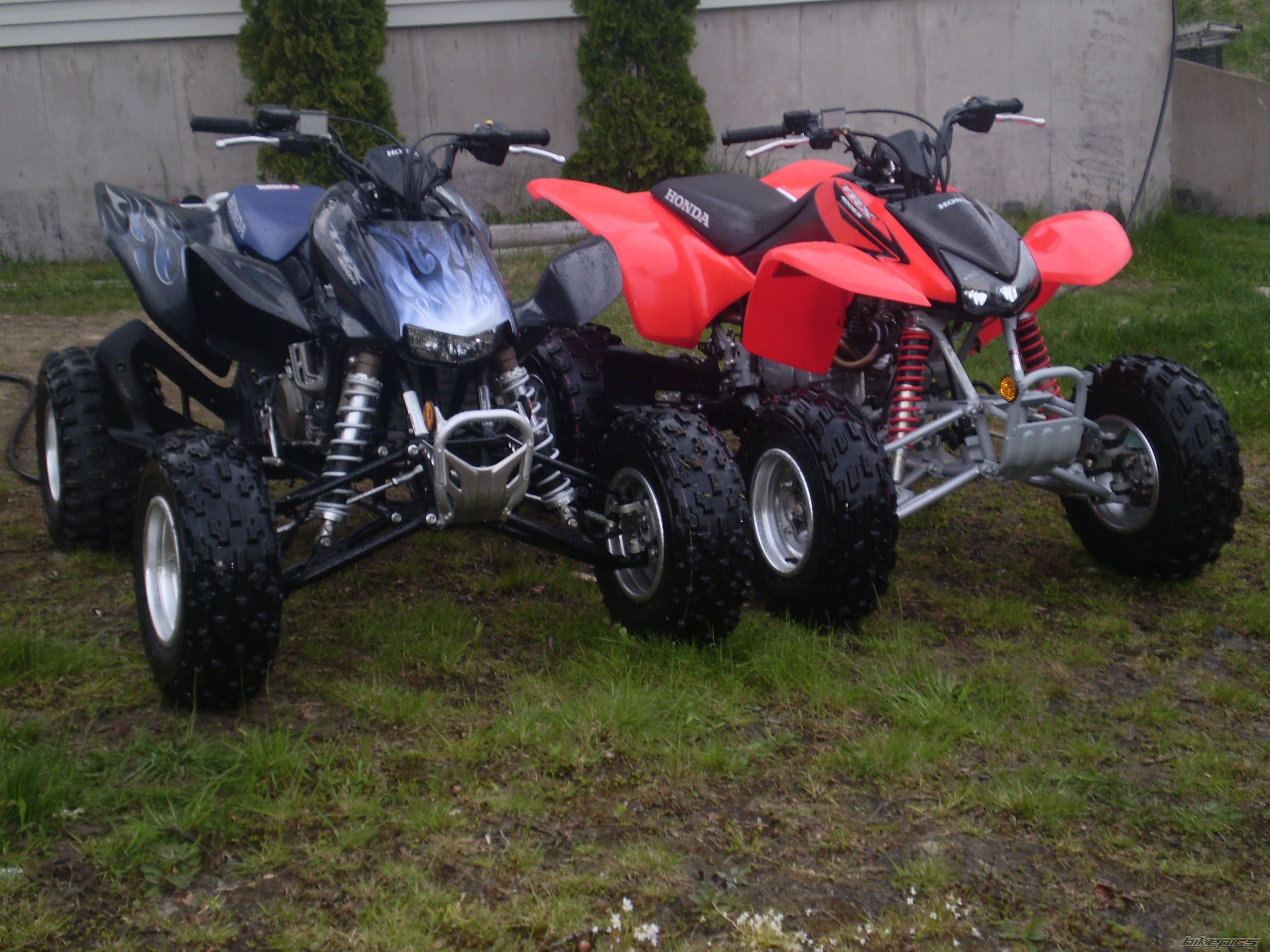 Photo 1896355