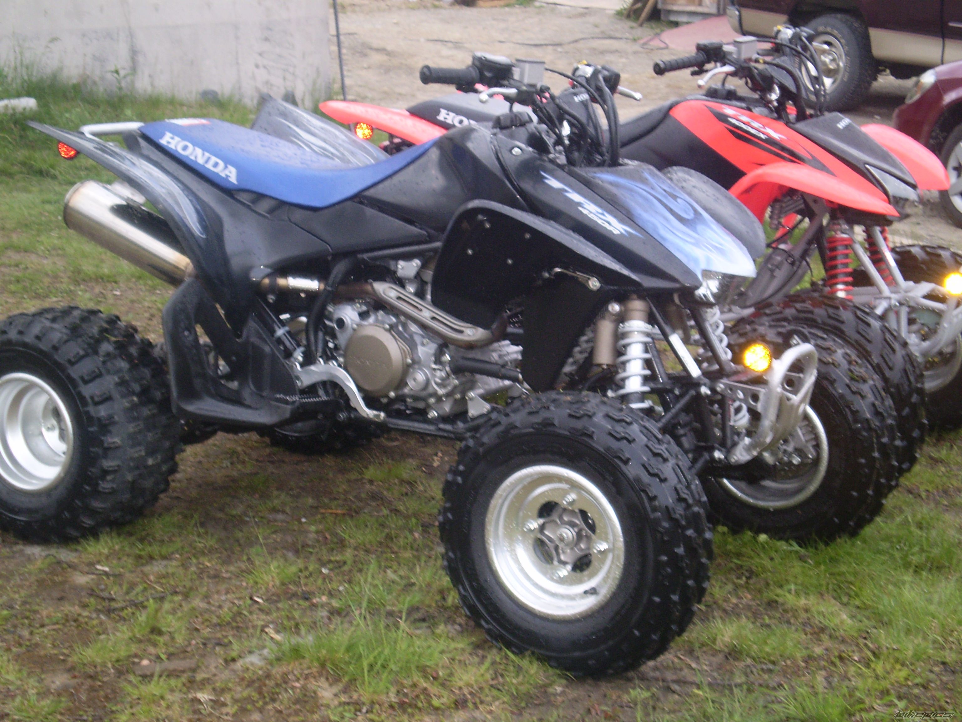 Photo 1896365