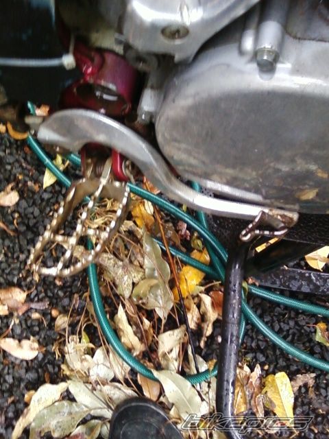 Photo 1896599