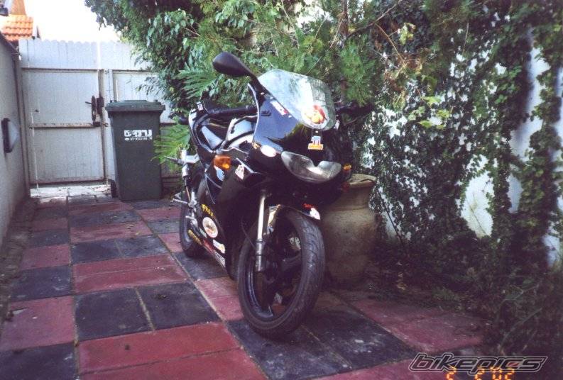 Photo 18976