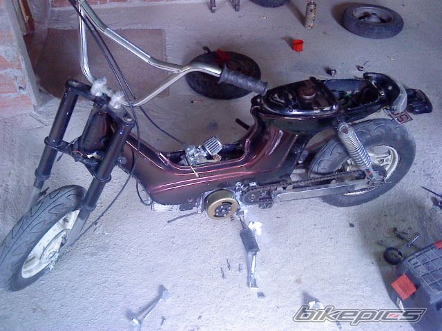 Photo 1897677