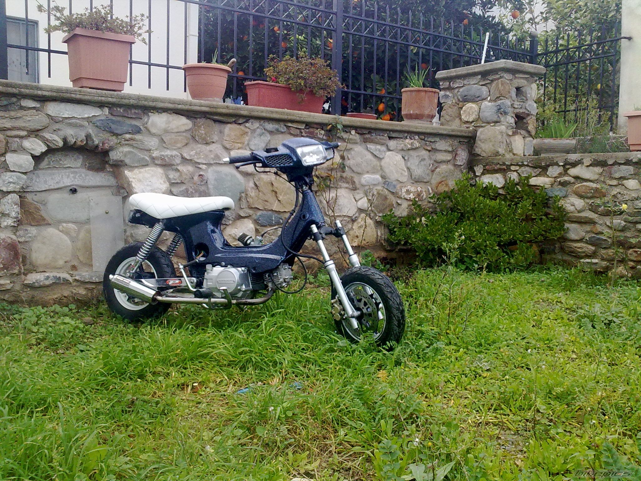 Photo 1897684