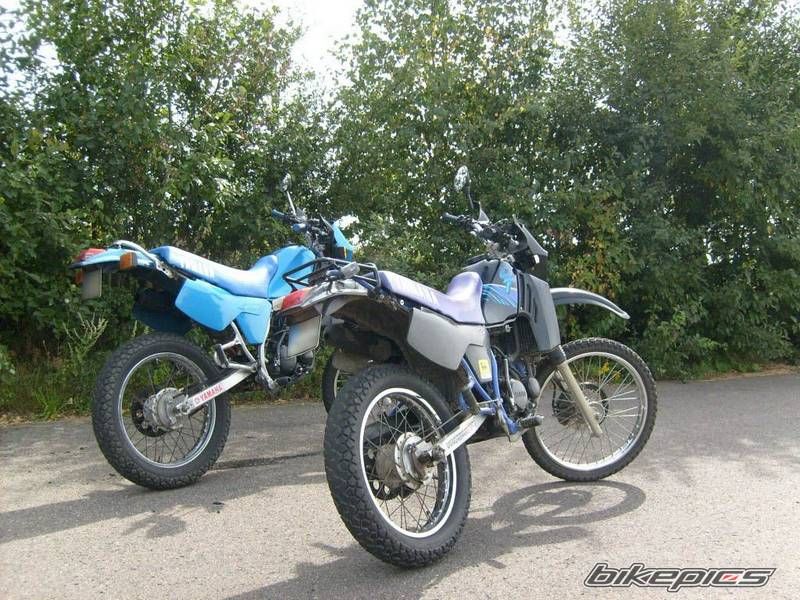 Photo 1897699