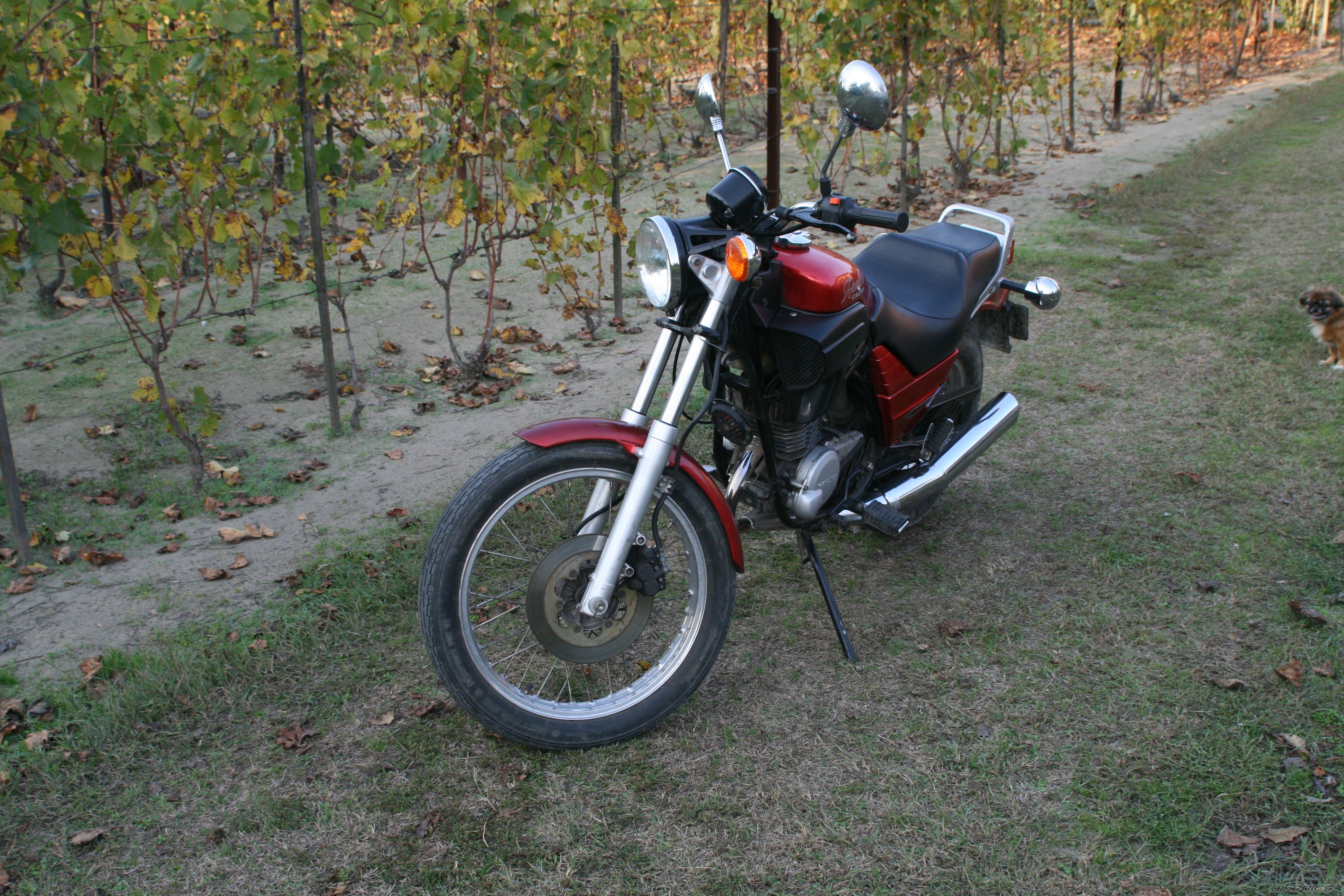 Bike Photo 1898352
