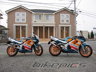 Photo 1898941