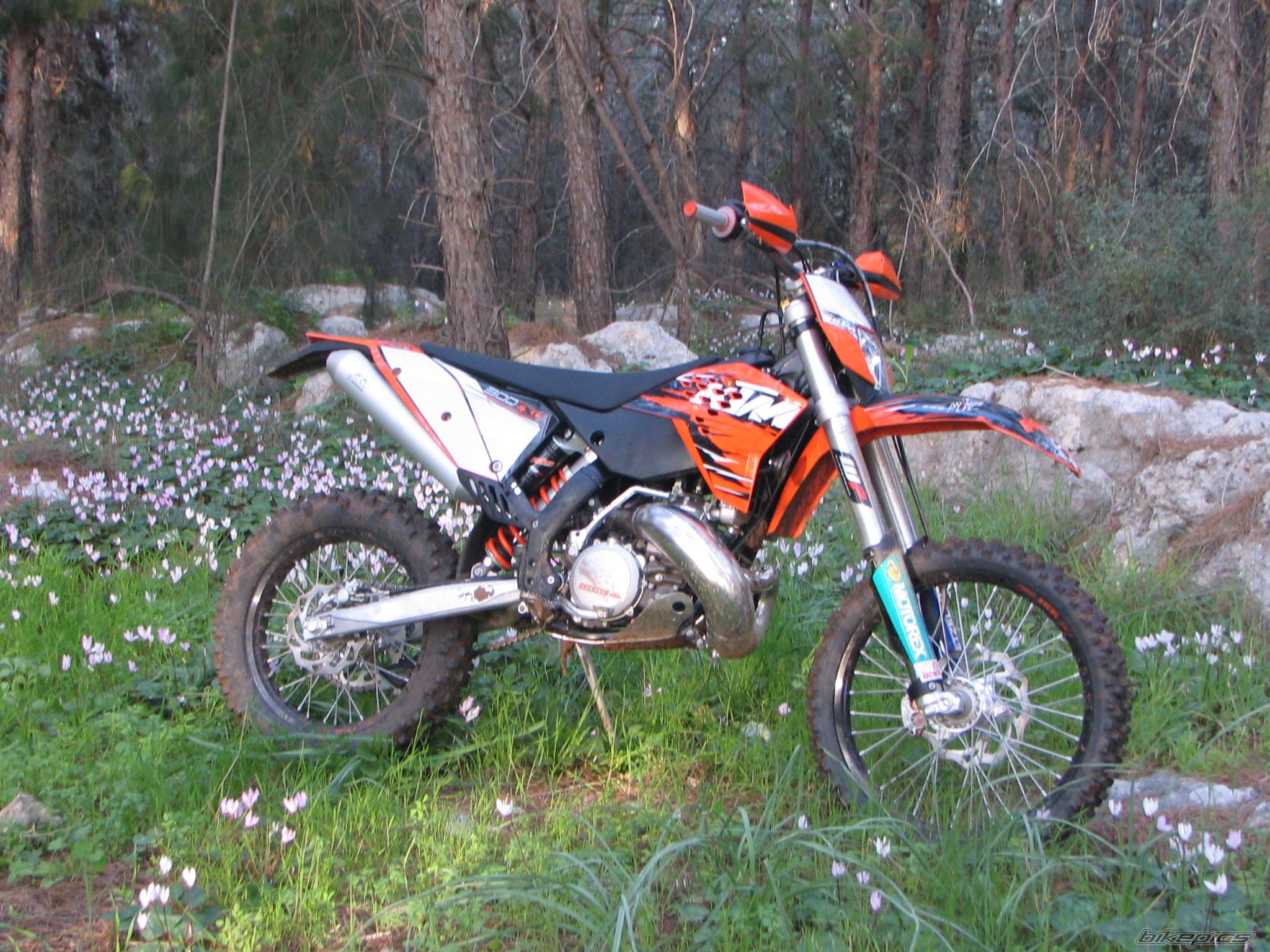 Photo 1898974